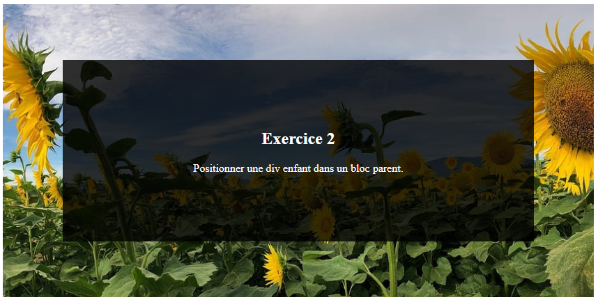 exercice